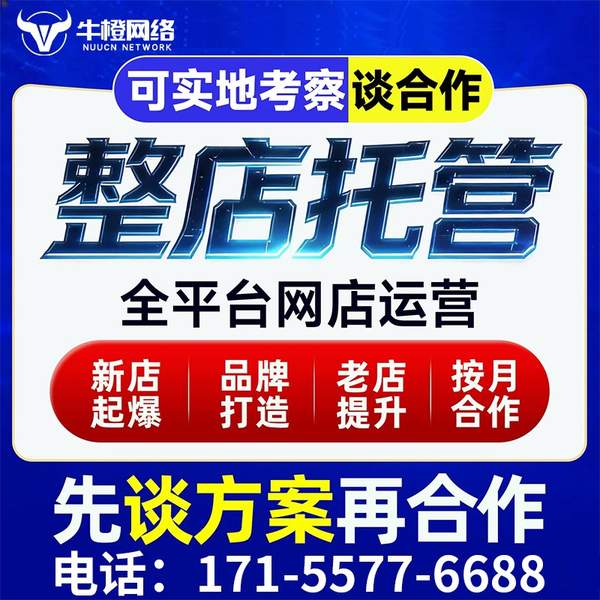 达州电商代运营
